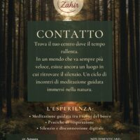 CONTATTO: MEDITAZIONE NEL BOSCO – martedì 25 agosto 2026