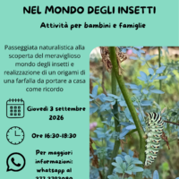 NEL MONDO DEGLI INSETTI – giovedì 3 settembre 2026