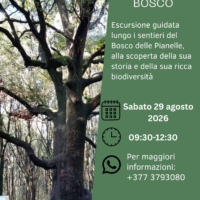 I SEGRETI DEL BOSCO – sabato 29 agosto 2026