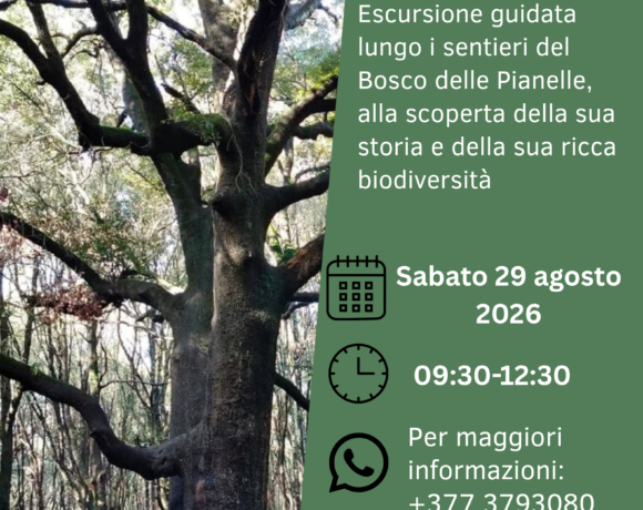 I SEGRETI DEL BOSCO – sabato 29 agosto 2026 I SEGRETI DEL BOSCO – sabato 29 agosto 2026