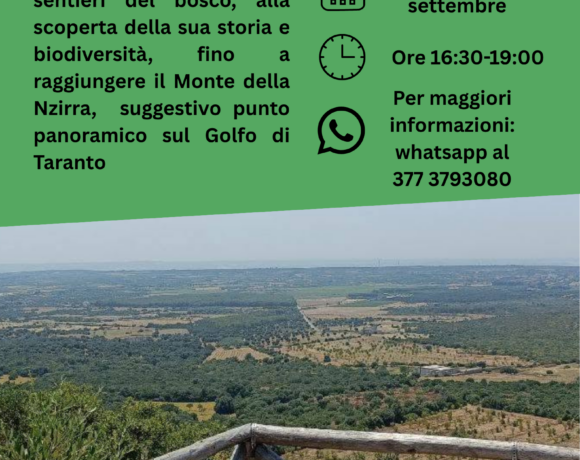 IL MONTE DELLA NZIRRA – mercoledì 09 settembre 2026 IL MONTE DELLA NZIRRA – mercoledì 09 settembre 2026
