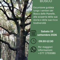 I SEGRETI DEL BOSCO – sabato 19 settembre 2026