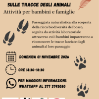 SULLE TRACCE DEGLI ANIMALI – domenica 01 novembre 2026