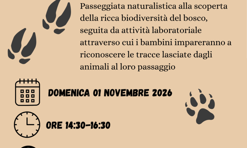SULLE TRACCE DEGLI ANIMALI – domenica 01 novembre 2026