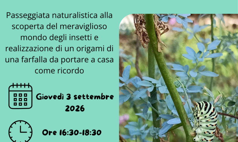 NEL MONDO DEGLI INSETTI – giovedì 3 settembre 2026