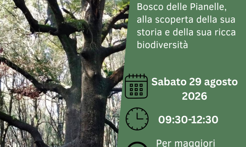I SEGRETI DEL BOSCO – sabato 29 agosto 2026 I SEGRETI DEL BOSCO – sabato 29 agosto 2026