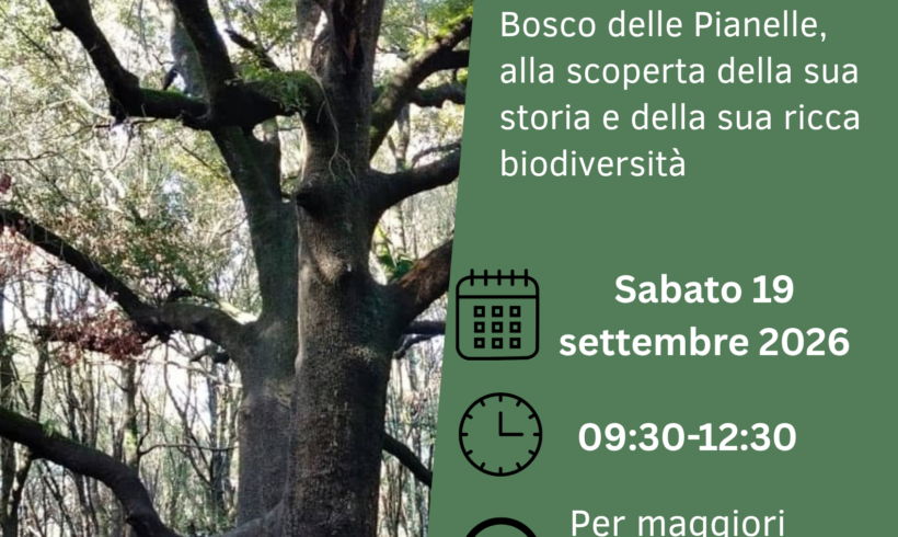 I SEGRETI DEL BOSCO – sabato 19 settembre 2026